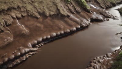 outdoors,teeth,water,tree,no humans,sharp teeth,nature,scenery,forest,monster,rock,sand,river,landscape,leaf,from above,grass,plant,realistic