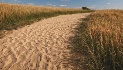 outdoors,sky,day,cloud,tree,blue sky,no humans,grass,nature,scenery,road,field,landscape,path,desert