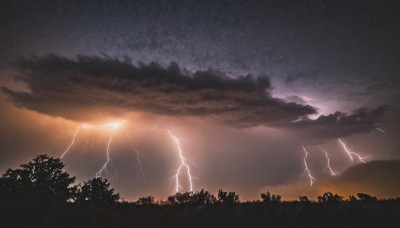 outdoors,sky,cloud,tree,no humans,night,cloudy sky,star (sky),nature,night sky,scenery,forest,starry sky,sunset,electricity,lightning