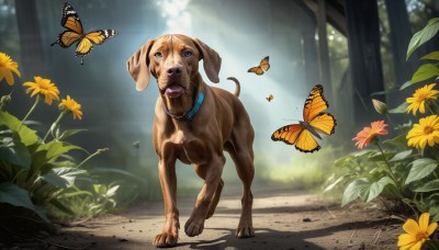 HQ,open mouth,flower,outdoors,day,tongue,tongue out,blurry,collar,tree,no humans,animal,sunlight,bug,plant,butterfly,nature,forest,running,dog,light rays,realistic,yellow flower,leash,road,animal focus,path,looking at viewer,brown eyes,standing,saliva,blurry background,shadow,leaf,animal collar