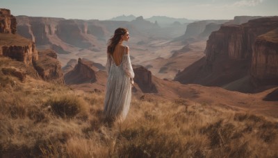 1girl,solo,long hair,brown hair,black hair,long sleeves,dress,bare shoulders,standing,outdoors,detached sleeves,sky,day,pointy ears,from behind,white dress,profile,back,grass,scenery,mountain,backless outfit,backless dress,field,mountainous horizon,holding,fantasy,wide shot,landscape,desert