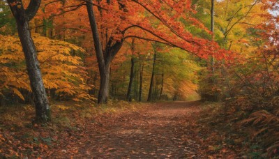 outdoors,day,tree,dutch angle,no humans,leaf,traditional media,sunlight,grass,nature,scenery,forest,road,autumn leaves,maple leaf,autumn,path,landscape