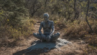 solo,looking at viewer,short hair,1boy,sitting,closed mouth,white hair,male focus,outdoors,barefoot,day,tree,muscular,colored skin,facial hair,bandages,muscular male,nature,scenery,forest,topless male,rock,indian style,navel,collarbone,full body,closed eyes,artist name,abs,facing viewer,toned,bandaged arm,blue skin,bald,on ground