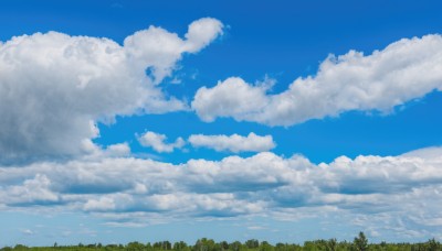 outdoors,sky,day,cloud,tree,blue sky,no humans,cloudy sky,grass,nature,scenery,forest,blue theme,cumulonimbus cloud