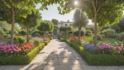 flower,outdoors,sky,day,tree,no humans,shadow,sunlight,grass,plant,red flower,building,nature,scenery,pink flower,purple flower,road,bush,house,path,cloud,blue sky,blue flower,yellow flower,garden,pavement