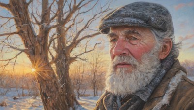 solo,looking at viewer,blue eyes,1boy,hat,jacket,white hair,male focus,outdoors,sky,tree,coat,facial hair,portrait,beard,snow,realistic,mustache,sun,winter clothes,manly,old,winter,old man,bare tree,closed mouth,upper body,grey hair,day,cloud,signature,scarf,black eyes,blue sky,fur trim,scar,thick eyebrows,scenery,scar on face,sunrise