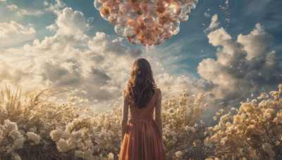 1girl, solo, long hair, brown hair, dress, standing, outdoors, sky, day, cloud, from behind, tree, blue sky, cloudy sky, scenery, facing away, balloon, field