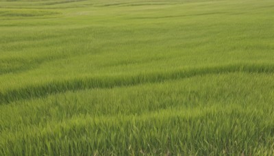 outdoors,sky,day,no humans,grass,nature,scenery,field,green theme,road