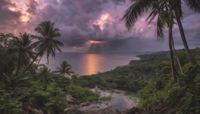 outdoors,sky,day,cloud,water,tree,no humans,ocean,beach,sunlight,cloudy sky,grass,plant,nature,scenery,forest,sunset,light rays,palm tree,horizon,landscape,signature,sand,sun,shore,island