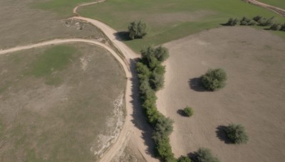 outdoors,day,water,tree,no humans,shadow,from above,grass,nature,scenery,sand,road,river,landscape,shore,path,plant,bush,street