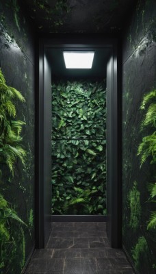 outdoors,day,indoors,tree,no humans,window,leaf,sunlight,plant,nature,scenery,door,green theme