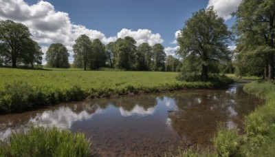 outdoors,sky,day,cloud,water,tree,blue sky,no humans,cloudy sky,grass,nature,scenery,forest,reflection,road,river,reflective water,bush,landscape,lake