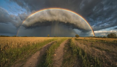 outdoors,sky,day,cloud,tree,blue sky,no humans,cloudy sky,grass,nature,scenery,road,field,rainbow,sunlight,light rays,sun,landscape