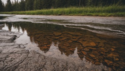 outdoors,day,water,tree,no humans,traditional media,grass,nature,scenery,forest,reflection,rock,road,river,landscape,shore