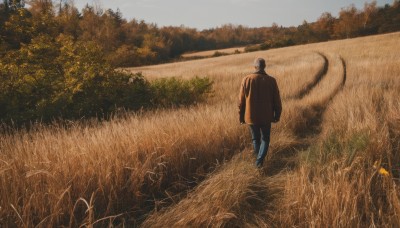 solo,short hair,black hair,long sleeves,1boy,standing,jacket,male focus,outdoors,day,pants,from behind,tree,coat,grass,plant,denim,nature,scenery,walking,jeans,blue pants,bush,field,wide shot,sky,shoes,brown jacket,road,brown coat,path