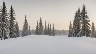 monochrome,outdoors,sky,water,tree,no humans,nature,scenery,snow,forest,mountain,winter,bare tree,landscape,pine tree,cloud,cloudy sky,lake,fog,grey sky