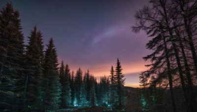 outdoors,sky,cloud,tree,no humans,night,star (sky),nature,night sky,scenery,forest,starry sky,sunset,bare tree,landscape,gradient sky,water,mountain,lake,shooting star