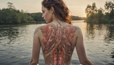 1girl,solo,long hair,brown hair,black hair,closed eyes,upper body,nude,outdoors,looking back,water,from behind,blurry,tree,lips,tattoo,blurry background,back,nature,freckles,reflection,sunset,realistic,river,lake,back tattoo,1boy,male focus,back focus