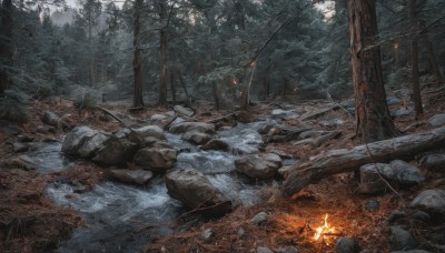 holding,outdoors,water,tree,no humans,fire,nature,scenery,snow,forest,lantern,rock,bare tree,campfire,river,stone,stream