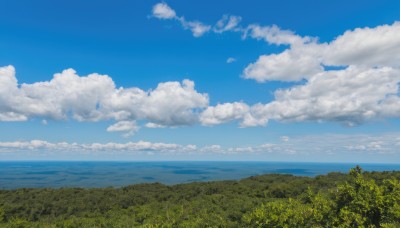 outdoors,sky,day,cloud,water,tree,blue sky,no humans,ocean,cloudy sky,grass,nature,scenery,forest,horizon,field,summer,landscape