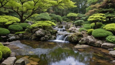 outdoors,day,water,tree,no humans,plant,nature,scenery,forest,reflection,rock,river,waterfall,moss,pond,stream,traditional media,grass,bush,landscape