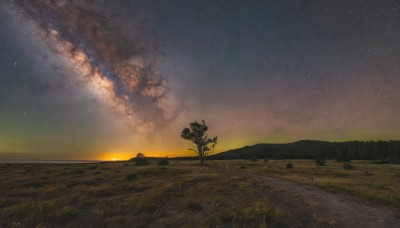 outdoors,sky,cloud,signature,no humans,night,grass,star (sky),night sky,scenery,starry sky,sunset,horizon,twilight,tree,plant,landscape,hill,milky way