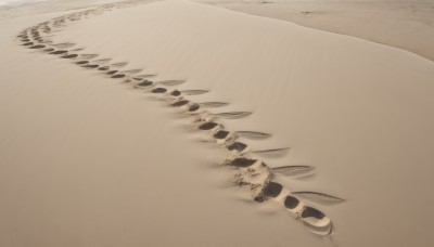 monochrome,outdoors,water,no humans,traditional media,beach,scenery,sand,brown theme,desert,solo,animal,from above,animal focus,footprints