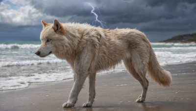 solo, full body, outdoors, sky, day, cloud, signature, water, blurry, pokemon (creature), no humans, ocean, animal, beach, cloudy sky, realistic, electricity, animal focus, lightning