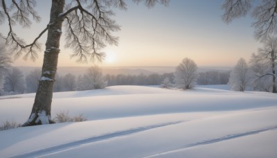 outdoors,sky,day,tree,blue sky,no humans,shadow,sunlight,grass,nature,scenery,snow,sunset,mountain,sun,road,winter,bare tree,landscape,sunrise,footprints,cloud