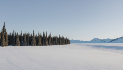 outdoors,sky,day,tree,blue sky,no humans,nature,scenery,snow,forest,mountain,winter,bare tree,landscape,mountainous horizon,footprints,pine tree,lake