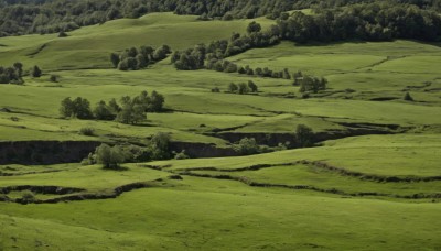 monochrome,outdoors,water,tree,no humans,traditional media,grass,nature,scenery,forest,rock,mountain,road,green theme,river,landscape,day,bush,field,path