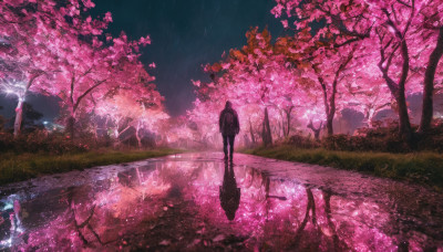 1girl, solo, long hair, standing, outdoors, sky, water, from behind, tree, petals, night, grass, cherry blossoms, scenery, reflection, road