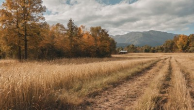 outdoors,sky,day,cloud,tree,blue sky,no humans,cloudy sky,grass,nature,scenery,forest,mountain,road,field,landscape,path,hill,ground vehicle,motor vehicle,realistic,mountainous horizon