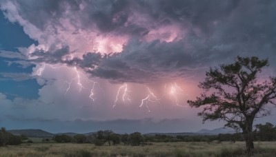 outdoors,sky,cloud,tree,no humans,cloudy sky,grass,cherry blossoms,nature,scenery,mountain,electricity,lightning,landscape,horizon,hill