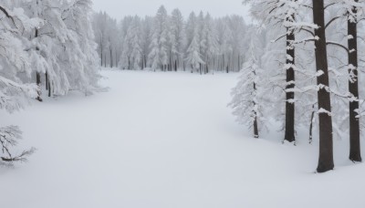 monochrome,greyscale,outdoors,tree,no humans,nature,scenery,snow,forest,winter,bare tree,landscape