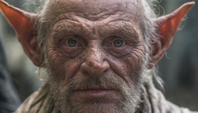 solo,looking at viewer,1boy,closed mouth,white hair,male focus,pointy ears,artist name,blurry,grey eyes,depth of field,blurry background,facial hair,elf,portrait,beard,close-up,realistic,mustache,old,old man,wrinkled skin,long hair,blue eyes,green eyes,nose