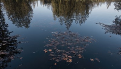 outdoors,sky,day,cloud,water,tree,blue sky,no humans,leaf,sunlight,nature,scenery,forest,reflection,ripples,lake,reflective water,autumn leaves