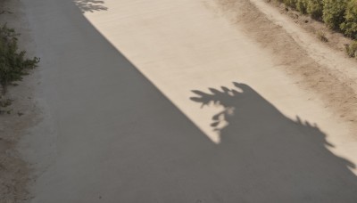 solo,outdoors,day,tree,no humans,shadow,grass,plant,nature,scenery,silhouette,road,bush,monochrome,sand,path