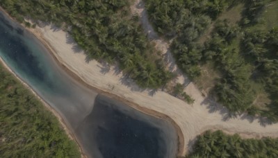 outdoors,sky,water,tree,no humans,night,sunlight,grass,plant,star (sky),nature,scenery,forest,starry sky,reflection,light rays,road,bush,river,landscape,lake,path,day,shadow,ocean,from above,beach,sand,shore