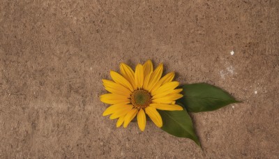 simple background,flower,no humans,shadow,leaf,brown background,yellow flower,sunflower,still life,heart,from above,water drop,brown theme