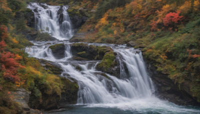 outdoors, day, water, tree, no humans, leaf, nature, scenery, forest, autumn leaves, river, autumn, waterfall