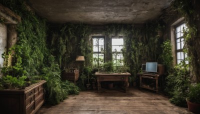 day,indoors,tree,no humans,window,chair,table,sunlight,plant,scenery,desk,wooden floor,potted plant,lamp,computer,vines,shelf,laptop,overgrown