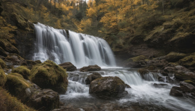 outdoors, water, tree, no humans, sunlight, nature, scenery, forest, rock, river, waterfall, stream