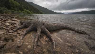 tail,outdoors,sky,day,cloud,water,tree,no humans,ocean,cloudy sky,nature,scenery,monster,rock,mountain,realistic,road,river,landscape,beach,forest,sand,shore