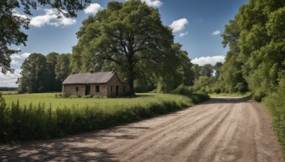 outdoors,sky,day,cloud,tree,blue sky,no humans,shadow,cloudy sky,grass,plant,building,nature,scenery,forest,road,bush,house,path,window