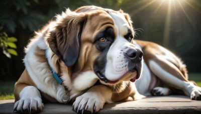 HQ,solo,brown eyes,outdoors,lying,day,tongue,tongue out,blurry,collar,no humans,animal,sunlight,on stomach,claws,dog,light rays,realistic,animal focus,looking at viewer,jewelry,full body,signature,necklace,blurry background,grass,plant,leash,animal collar