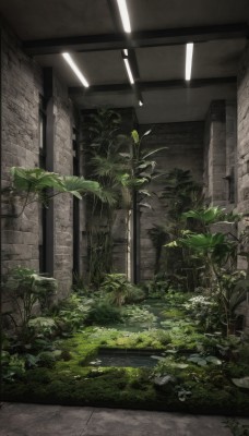 outdoors,day,indoors,no humans,window,leaf,grass,plant,scenery,rock,door,potted plant,wall,ruins,ceiling,moss,ceiling light,overgrown