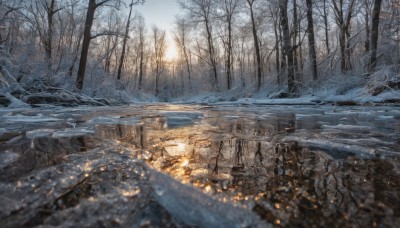 outdoors,sky,blurry,tree,no humans,depth of field,fire,nature,scenery,snow,forest,snowing,ruins,winter,bare tree,day,cloud,water,sunlight,reflection,ice,landscape