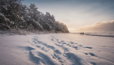 outdoors, sky, cloud, water, tree, no humans, cloudy sky, nature, scenery, horizon, footprints