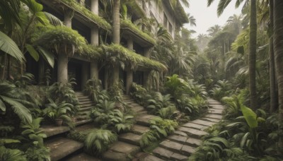 outdoors,day,tree,no humans,leaf,sunlight,plant,building,nature,scenery,stairs,palm tree,bush,ruins,sky,grass,forest